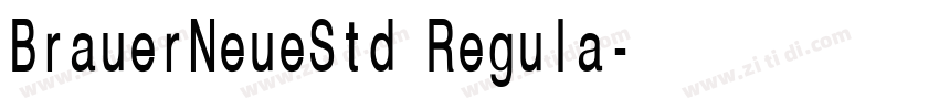 BrauerNeueStd Regula字体转换